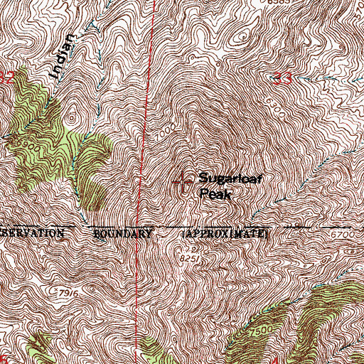 Topographic Map of Sugarloaf Peak, NM