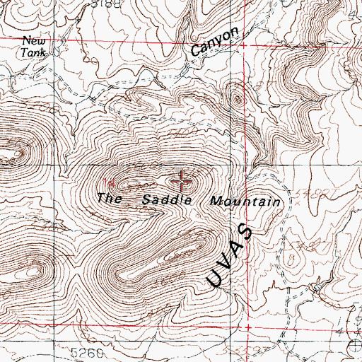 Topographic Map of The Saddle Mountain, NM