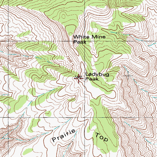 Topographic Map of Ladybug Peak, NM