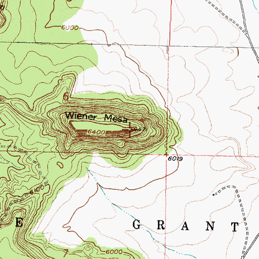 Topographic Map of Wiener Mesa, NM
