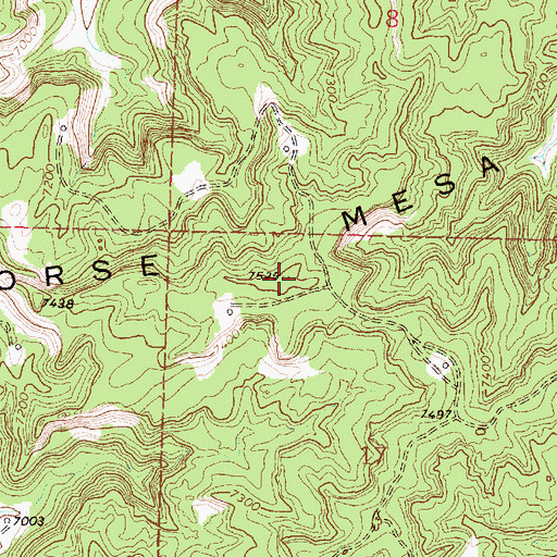 Topographic Map of Wild Horse Mesa, NM