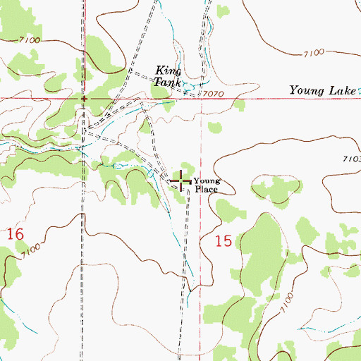 Topographic Map of Young Place, NM