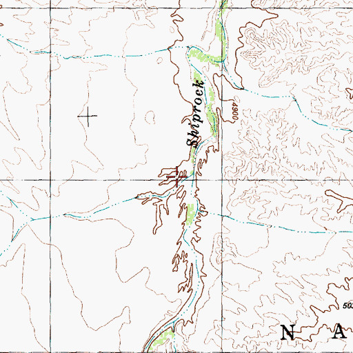 Topographic Map of Lichii Wash, NM