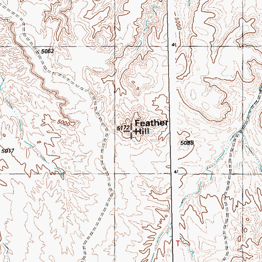 Topographic Map of Feather Hill, NM