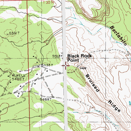 Topographic Map of Black Rock Point, NM