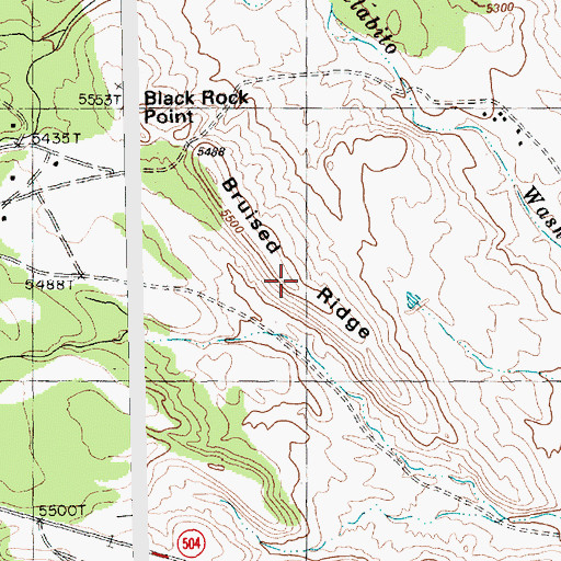 Topographic Map of Bruised Ridge, NM