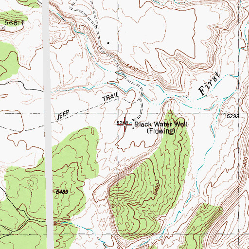 Topographic Map of Black Water Well, NM