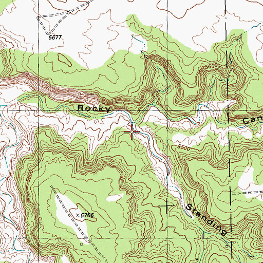 Topographic Map of Standing Tree Canyon, NM