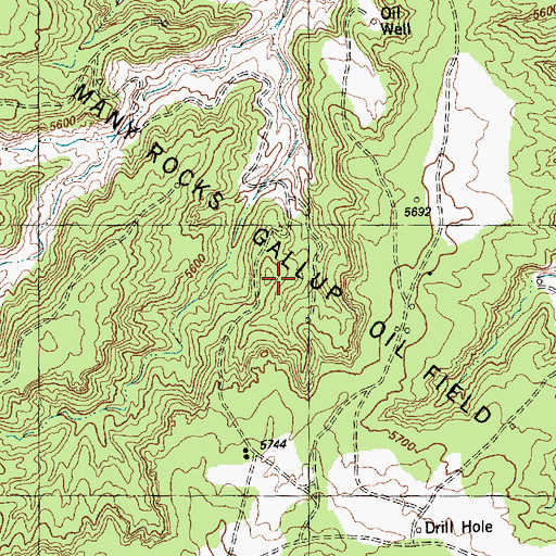 Topographic Map of Many Rocks Gallup Oil Field, NM