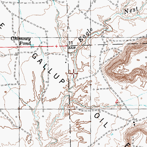 Topographic Map of Burnt Squash Draw, NM