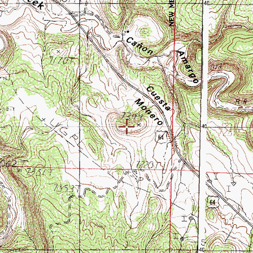 Topographic Map of Cuesta Monero, NM