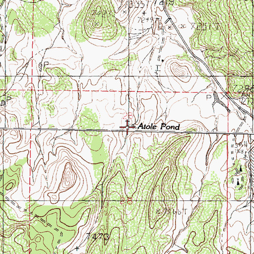Topographic Map of Atole Pond, NM