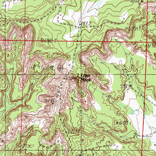 Topographic Map of Lion Rock, NM