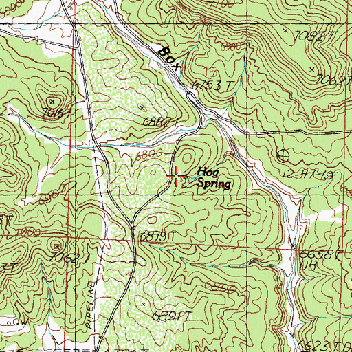 Topographic Map of Hog Spring, NM