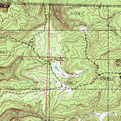 Topographic Map of Mesa Mountains, NM