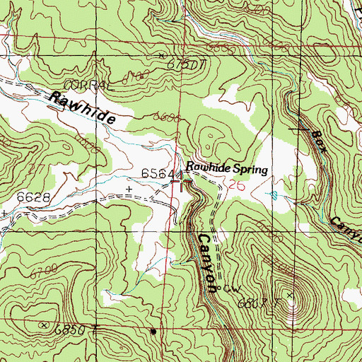 Topographic Map of Rawhide Spring, NM