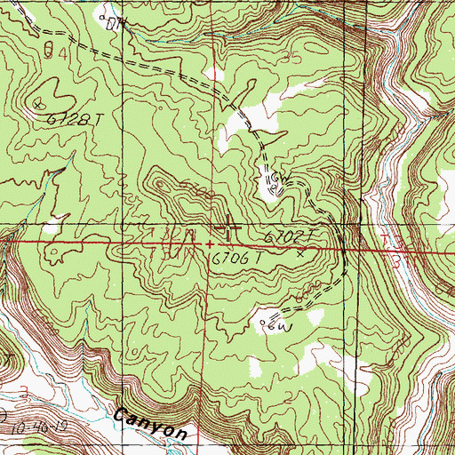 Topographic Map of Tank Springs, NM