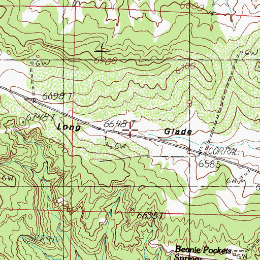 Topographic Map of Long Glade, NM