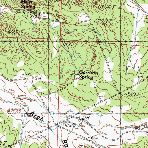 Topographic Map of Garrison Spring, NM