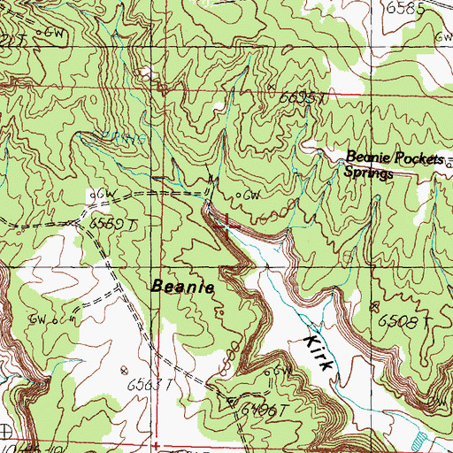 Topographic Map of John Brown Spring, NM