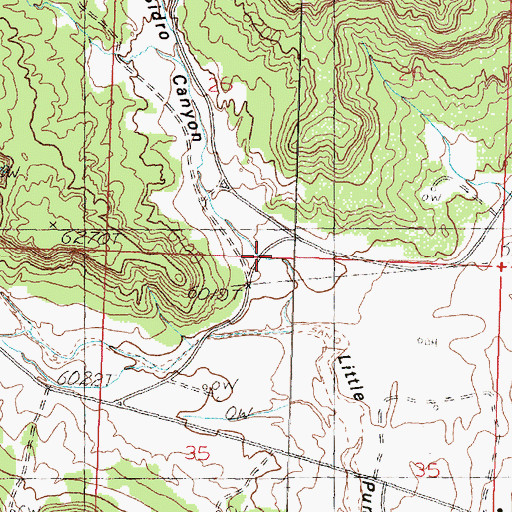Topographic Map of Sidro Canyon, NM
