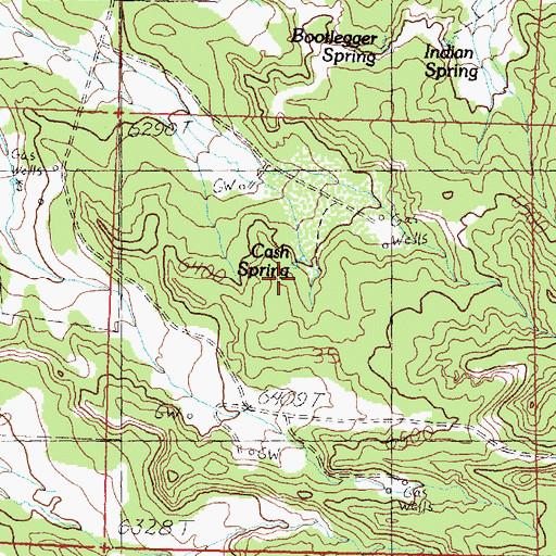 Topographic Map of Cash Spring, NM