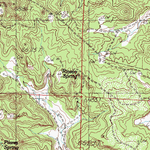 Topographic Map of Rincon Spring, NM