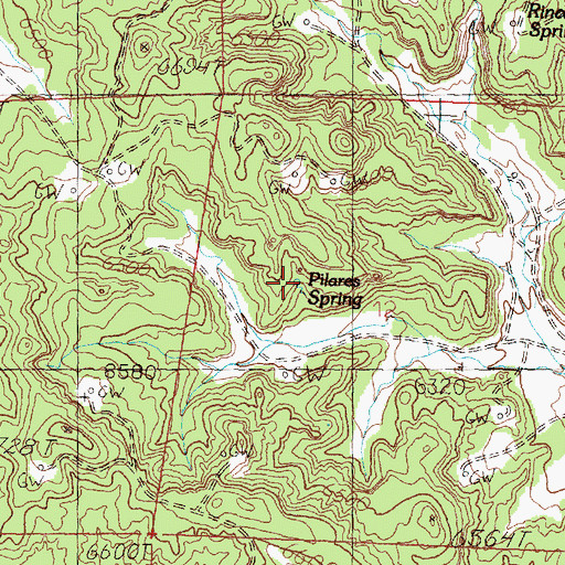 Topographic Map of Pilares Spring, NM