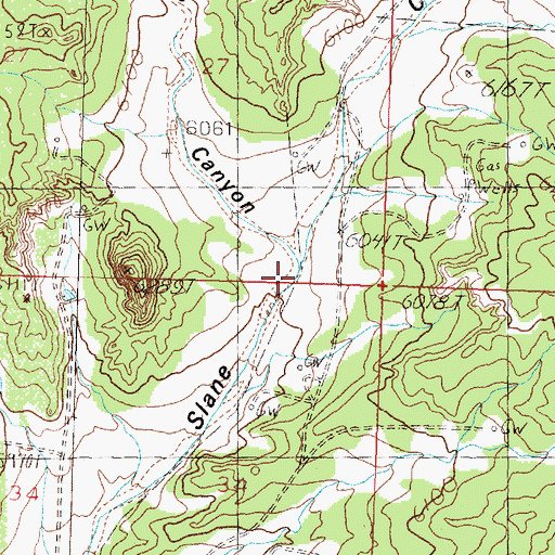Topographic Map of Cerritos Canyon, NM