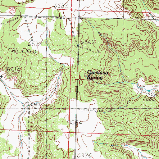 Topographic Map of Quintana Spring, NM