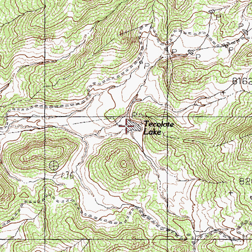 Topographic Map of Tecolote Lake, NM