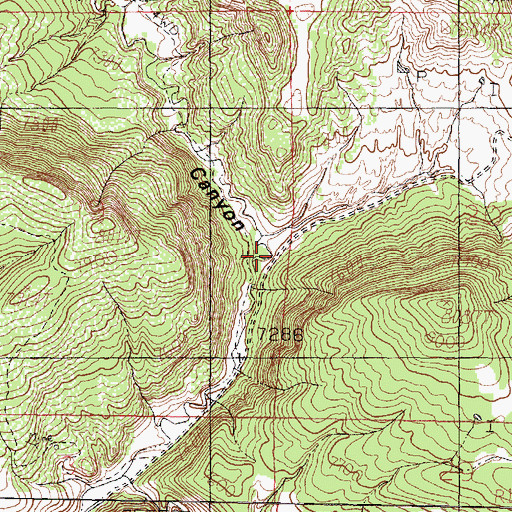 Topographic Map of Miller Canyon, NM