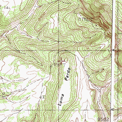 Topographic Map of Loma Prado, NM