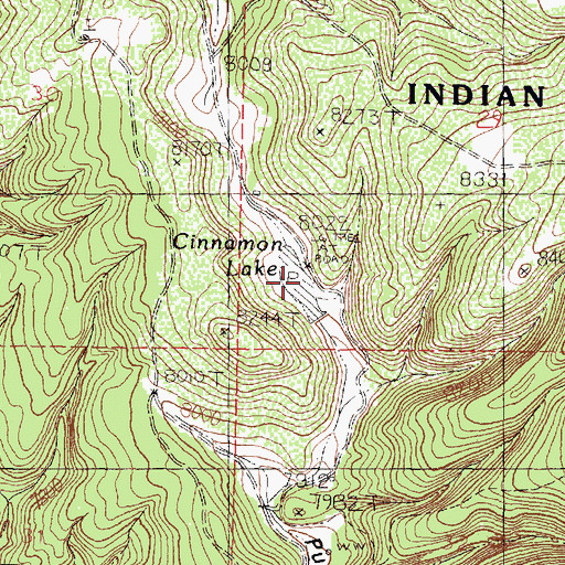 Topographic Map of Cinnamon Lake, NM