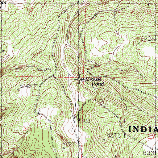 Topographic Map of Grouse Pond, NM