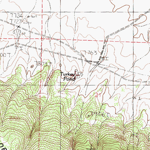 Topographic Map of Turkey Pond, NM