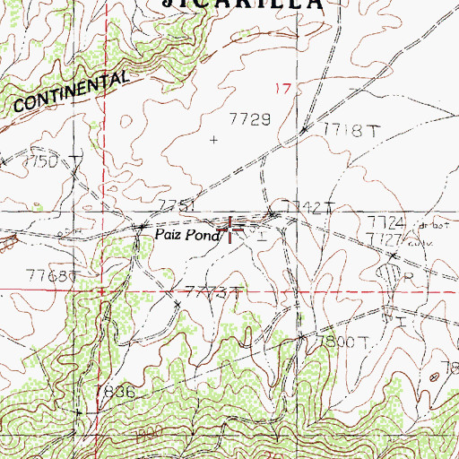 Topographic Map of Paiz Pond, NM