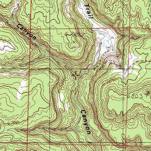 Topographic Map of Devils Canyon, NM