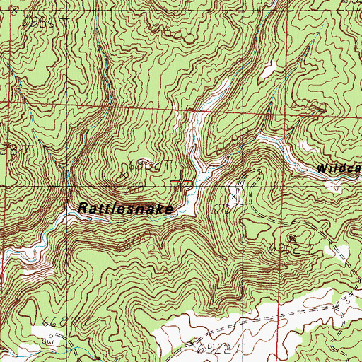 Topographic Map of Wildcat Canyon, NM