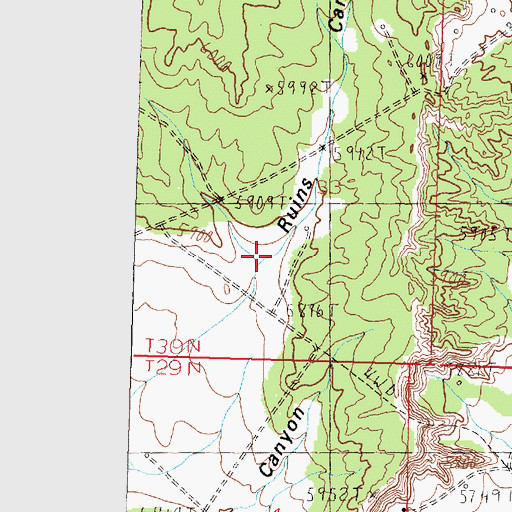 Topographic Map of Ruins Canyon, NM