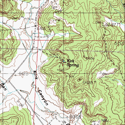 Topographic Map of Kirk Spring, NM