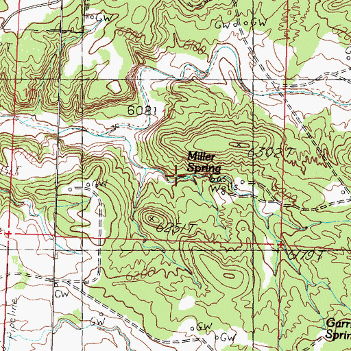 Topographic Map of Miller Spring, NM