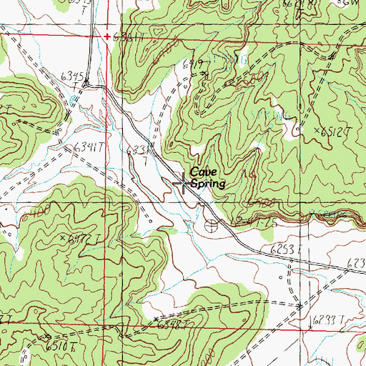 Topographic Map of Cave Spring, NM