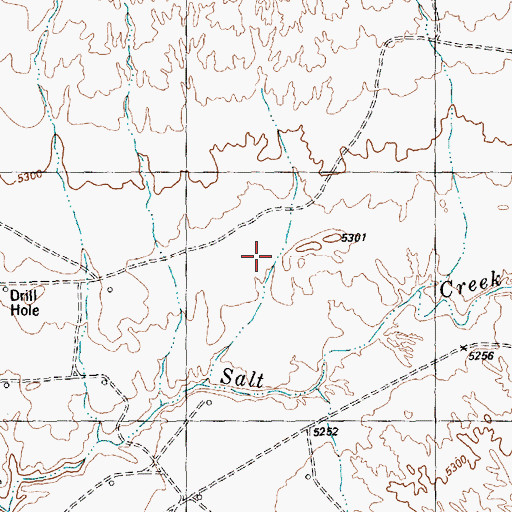 Topographic Map of Gum Canyon, NM