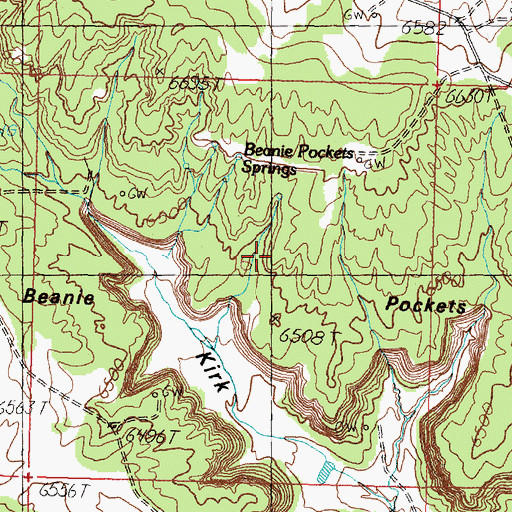 Topographic Map of Beanie Pockets, NM