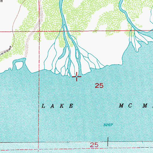 Topographic Map of Pecos River, NM