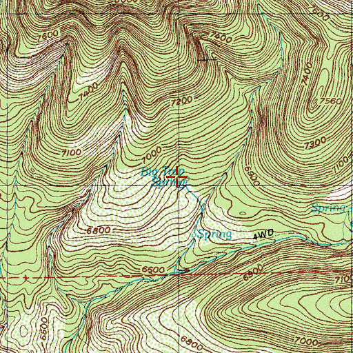 Topographic Map of Big Trap Spring, NM