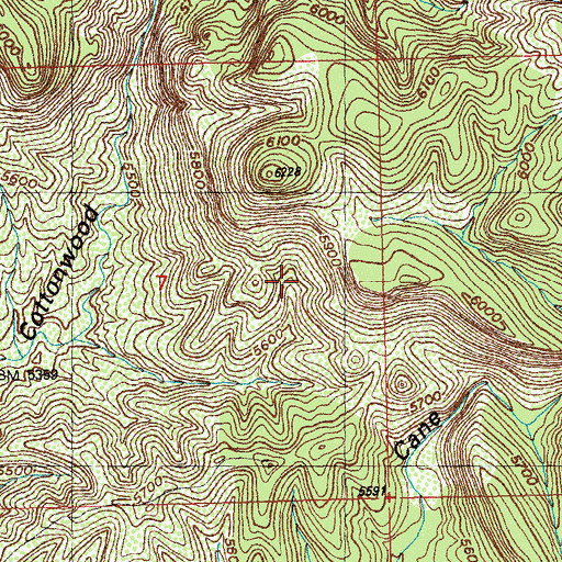 Topographic Map of Cane Spring, NM