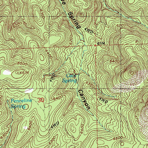 Topographic Map of Cave Spring, NM