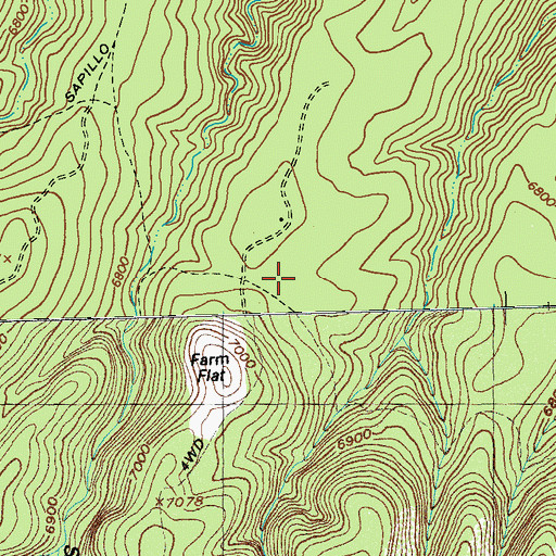 Topographic Map of Farm Flat, NM